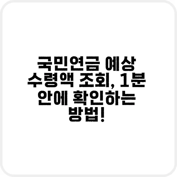 국민연금 예상 수령액 조회 화면