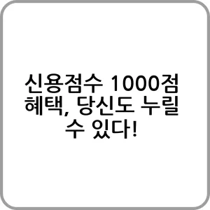 신용점수 1000점 혜택에 대한 안내