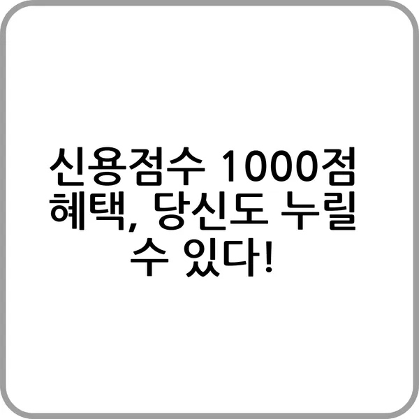 신용점수 1000점 혜택에 대한 안내