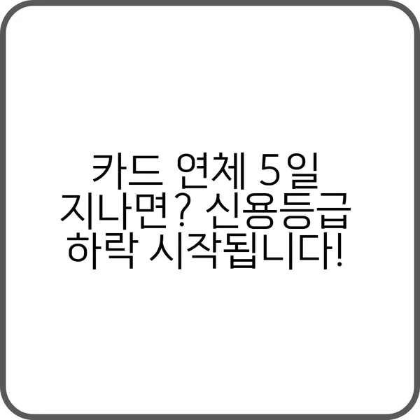 카드 연체 5일 대처 방법